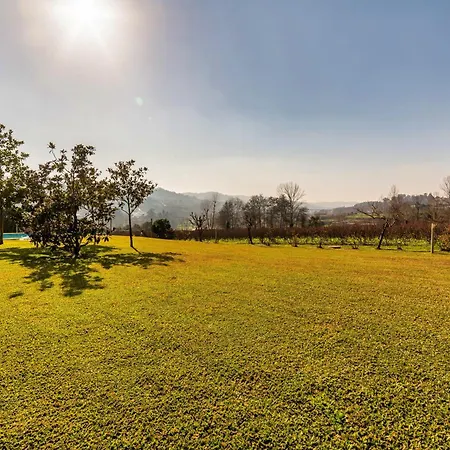 Quinta De Sub-ribas, Ideal Familias וילה ויזלה